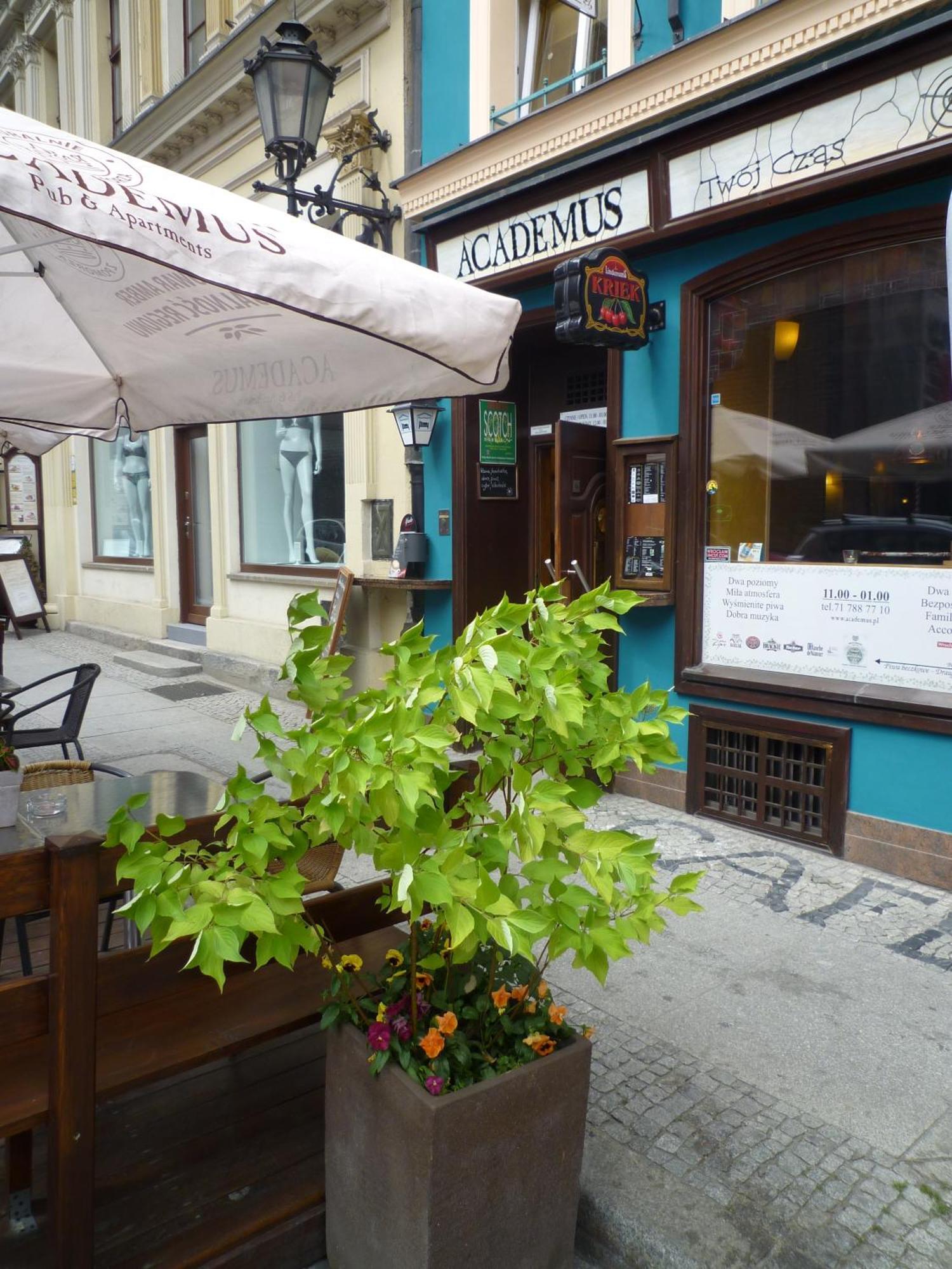 Academus Pub & Guest House Vratislav Exteriér fotografie